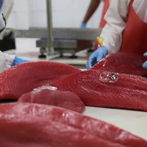 Frozen Yellowfin Tuna