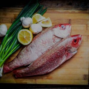 Frozen Skipjack Tuna